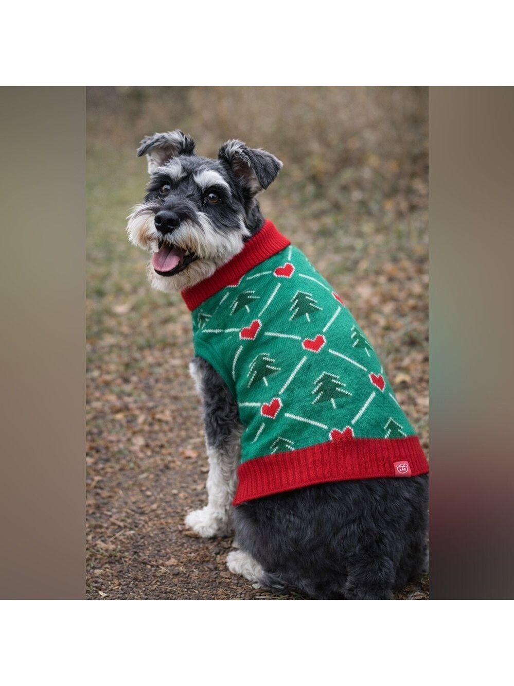 Boots & Barkley Holiday Dog Sweater Large Green Red